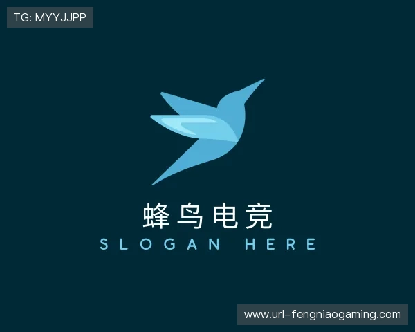 了解蜂鸟电竞团队